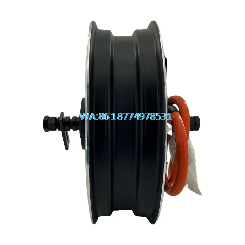 Wmwmnu für QS 273 13-Zoll E-Sc – Qs Motor 273 8000W Hub Motor Bewertung und Preis